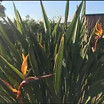 Colibrifarm Nyaraló *
